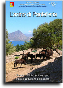 Pantelleria - L`asino di Pantelleria